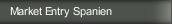 Market Entry Spanien